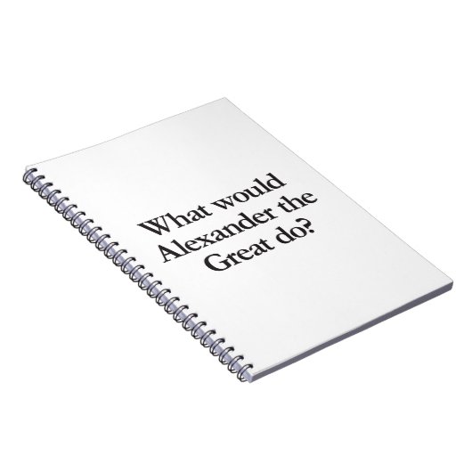 wat zou alexander de grote doen notitieboek (Rechterzijde)