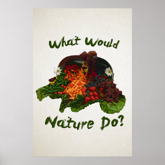 Wat zou de Natuur doen? Poster (Voorkant)