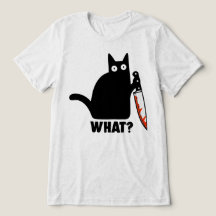 Wat Zwarte Kat Mes Meme