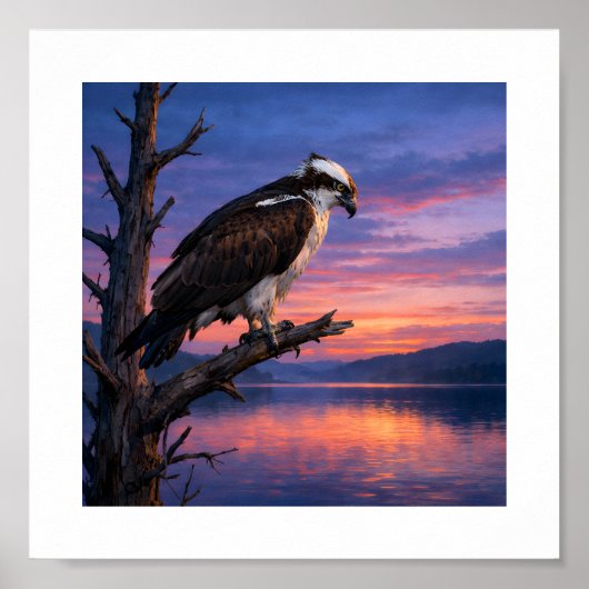 Watcher of the Water – Osprey at Dusk Poster (Voorkant)