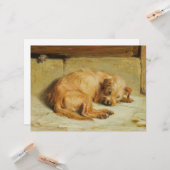 Watchful Cocker Spaniel Hond Kaart (Voorkant / Achterkant in situ)