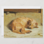 Watchful Cocker Spaniel Hond Kaart (Voorkant)