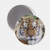 Watchful Eye Magneet (Voorkant / Achterkant)