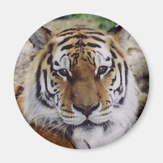 Watchful Eye Magneet (Voorkant)