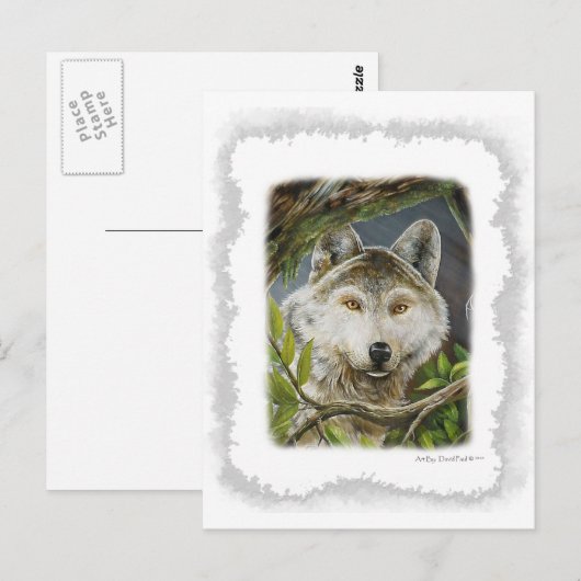 Watchful Eyes Briefkaart (Voorkant / Achterkant)