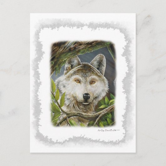 Watchful Eyes Briefkaart (Voorkant)