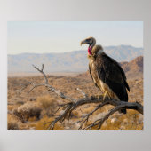 Watchful Eyes Poster (Voorkant)