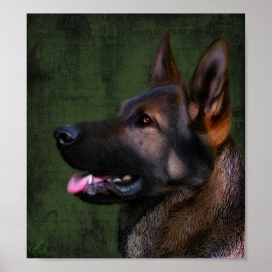 Watchful Guardian Poster (Voorkant)