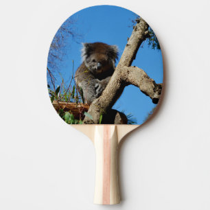 Watchful Koala Beer, Tafeltennisbatje