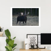 Watchful Moose Poster (Thuiskantoor)