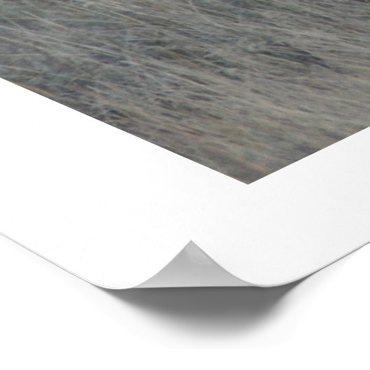 Watchful Moose Poster (Hoek)