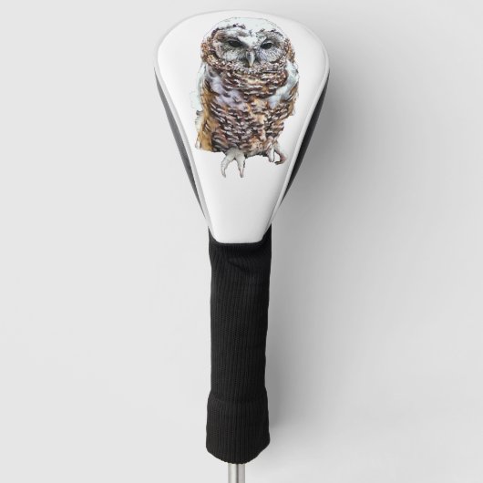 Watchful Owl Golfheadcover (Voorkant)