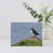 Watchful Puffin Briefkaart (Staand voorkant)