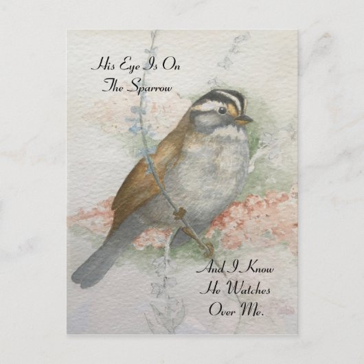 Watchful Song Sparrow Bible Quote Waterverf Briefkaart (Voorkant)
