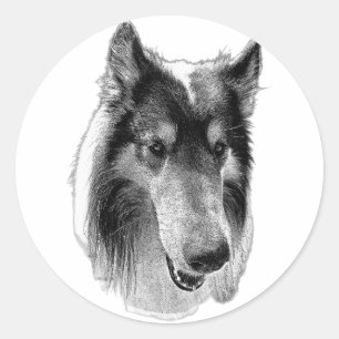 Watchful & Still – Collie Ronde Sticker