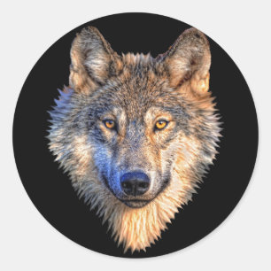 Watchful Wolf Ronde Sticker
