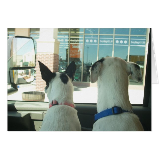 WATCHING (Voorkant Horizontaal)