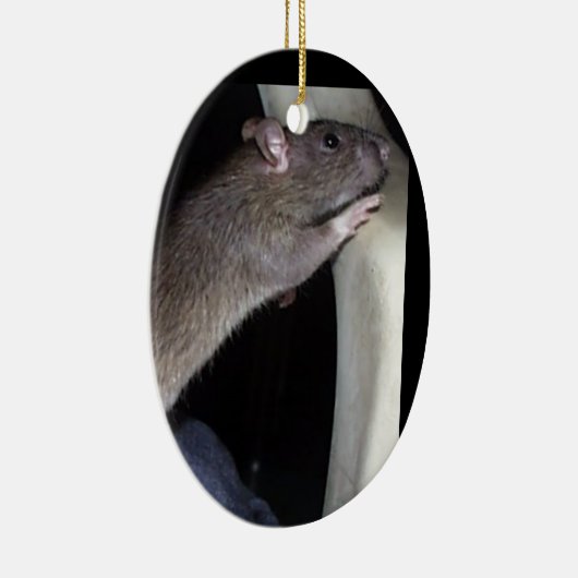 WATCHING RAT ORNAMENT (Rechts)