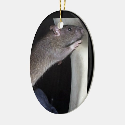 WATCHING RAT ORNAMENT (Links)