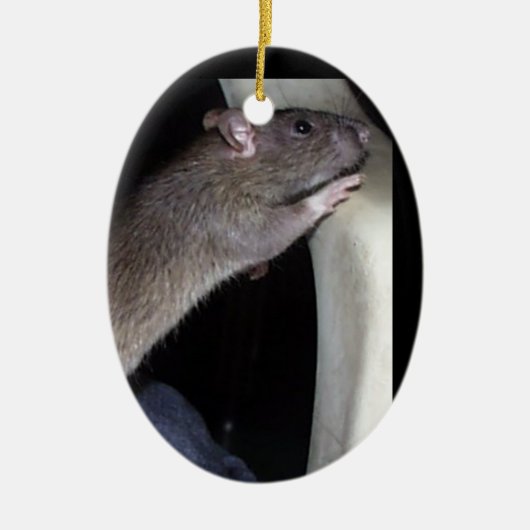 WATCHING RAT ORNAMENT (Voorkant)