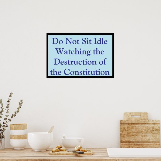 Watching the Constitution Destroyed Poster (Keuken)