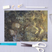 “Watching the Fairies” van Beatrice Goldsmith Tissuepapier (Craft)