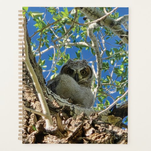 Watching You Planner (Voorkant)