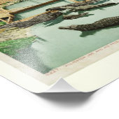 Water Baby Alligator Joe Foto Afdruk (Hoek)