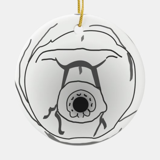 Water Beer Tardigrade Face Keramisch Ornament (Voorkant)