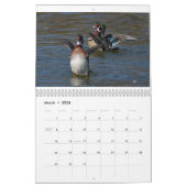 Water Birds 3 Twee pagina's MediumCalendar, Wit Kalender (Mar 2026)