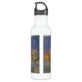 Water Bottle – Roaring Sunset Lion Waterfles (Achterkant)