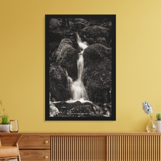 Water boven mos canvas afdruk (Insitu (Woonkamer))