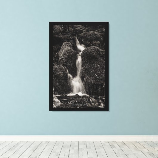 Water boven mos canvas afdruk (Insitu (Houten vloer))