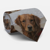 WATER BOY - GOLDEN RETRIEVER STROPDAS (Opgerold)