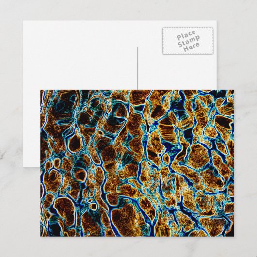 WATER BRIEFKAART (Voorkant / Achterkant)