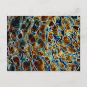 WATER BRIEFKAART (Voorkant)