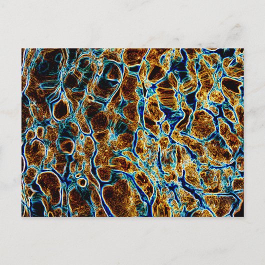 WATER BRIEFKAART (Voorkant)