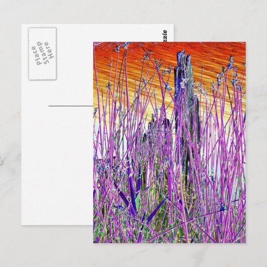 WATER BRIEFKAART (Voorkant / Achterkant)