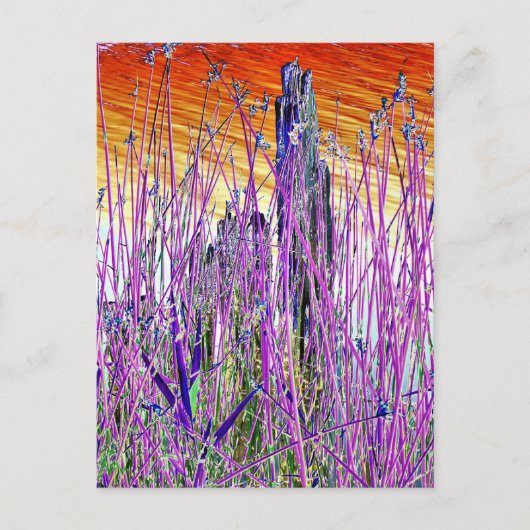 WATER BRIEFKAART (Voorkant)