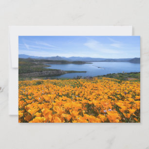 Water   California Lake With Golden Poppies Bedankkaart