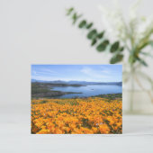 Water | California Lake With Golden Poppies Briefkaart (Staand voorkant)
