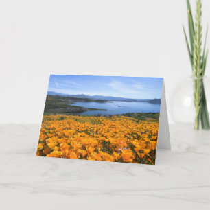 Water   California Lake With Golden Poppies Kaart