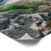 Water | Canoe on Lake in Sweden Poster (Hoek)