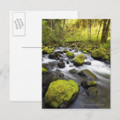 Water dat door met moss beklede raketten in een st briefkaart (Voorkant / Achterkant)