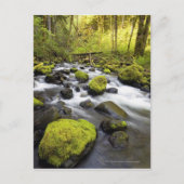 Water dat door met moss beklede raketten in een st briefkaart (Voorkant)