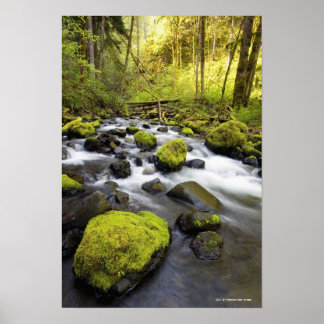 Water dat door met moss beklede raketten in een st poster