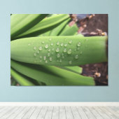 Water des Levens op jonge bananenvrucht Canvas Afdruk (Insitu (Houten vloer))
