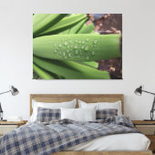 Water des Levens op jonge bananenvrucht Canvas Afdruk (Insitu (Slaapkamer))