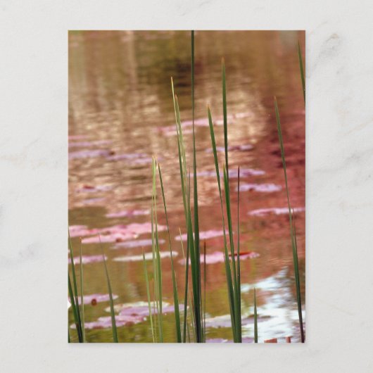 Water door toevoer briefkaart (Voorkant)