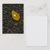 Water draait vroeg Visitekaartje (Voorkant / Achterkant)